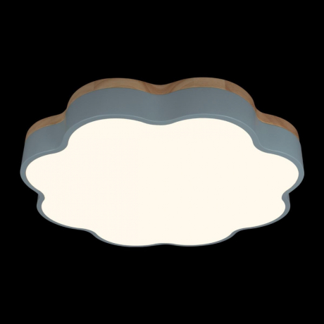 Накладной светильник Loft it Axel 10225/36 Blue 