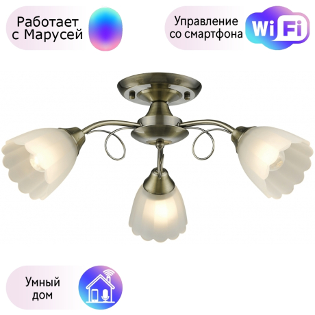 Потолочная люстра Velante с поддержкой Маруся 708-507-03-М 