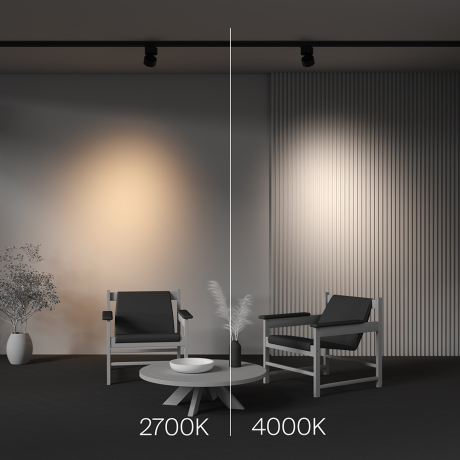 Накладной светильник Maytoni Technical Alfa TR199-3-15W2.7K-M-B