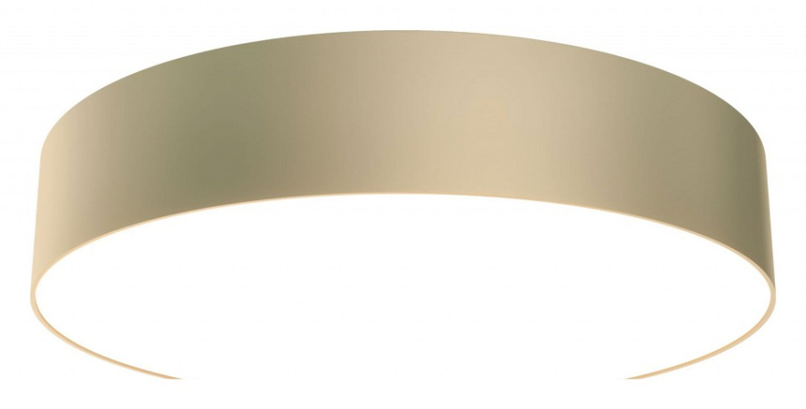 Накладной светильник Maytoni Zon C032CL-L43MG4K 