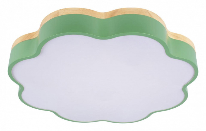 Накладной светильник Loft it Axel 10225/36 Green 