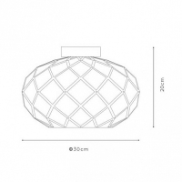 Потолочный светильник Lucide Wolfram 21117/30/30