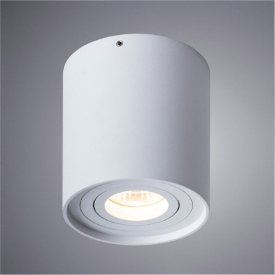 Накладной светильник Arte Lamp Galopin A1460PL-1WH 
