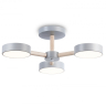 Люстра на штанге Ambrella Light FL FL4822 