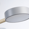 Люстра на штанге Ambrella Light FL FL4822 