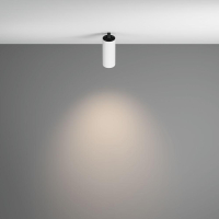 Спот Maytoni Technical FOCUS LED C053CL-L12W4K-W-W