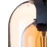 Нарушена упаковка!  <303517> Подвесной светильник Arte Lamp Paio A7015SP-1BK