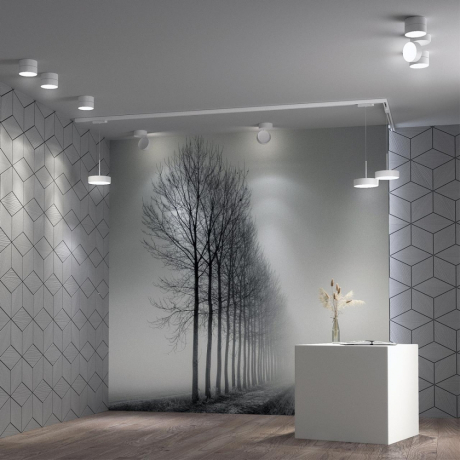 Накладной светильник Novotech Prometa 358749 