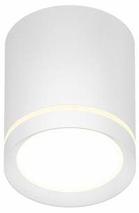 Накладной светильник Denkirs DK401 DK4016-WH