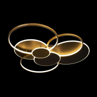 Потолочная люстра Loft it Megan 10163 Black