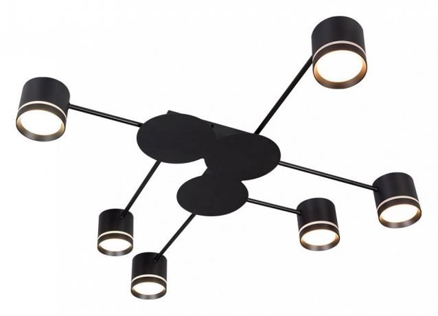 Потолочная люстра Arte Lamp Legacy A8024PL-6BK 
