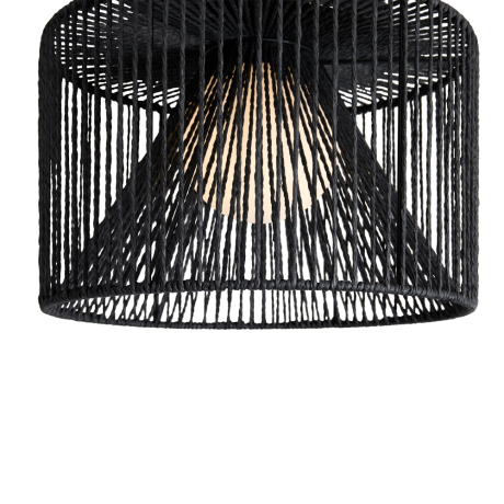 Накладной светильник Freya Cottage FR5405CL-01B1 