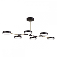 Люстра на штанге EVOLUCE Monta SLE6004-402-06