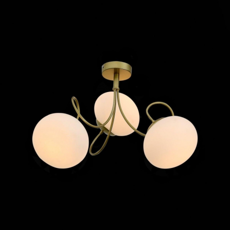 Потолочная люстра EVOLUCE Acini SL717.202.03 