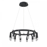 Подвесной светильник Vele Luce Negro VL7102P12 