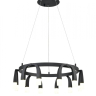Подвесной светильник Vele Luce Negro VL7102P12 