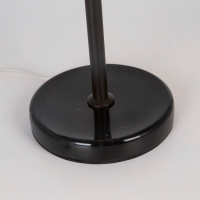 Настольная лампа декоративная Citilux Мартин CL332861