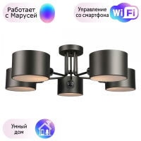 Люстра с поддержкой Маруси потолочная Omnilux OML-54507-05-M