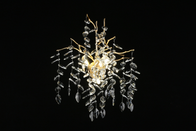 Бра Aployt Gertunia APL.847.01.03 