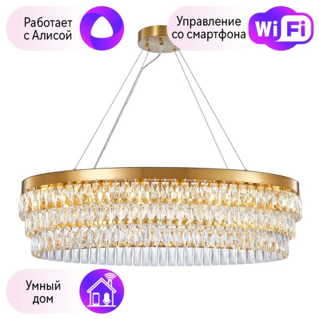 Подвесная люстра Favourite Magnitudo с поддержкой Алиса 2206-16C-A 