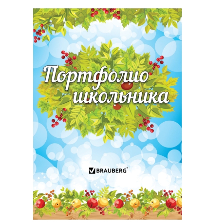Нарушена упаковка!  <200034> Листы-вкладыши для портфолио школьника, 14 разделов, 16 листов, "Окружающий мир", BRAUBERG, 126896 (126896)