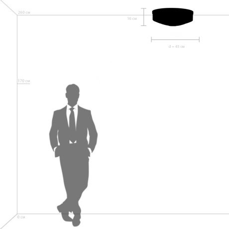 Потолочная люстра Lightstar Siena 720227 