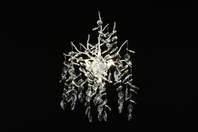 Бра Aployt Gertunia APL.847.11.03 