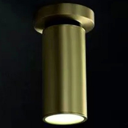 Спот iLamp Plum 8861C BR-BK 