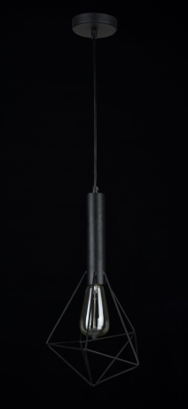 Подвесной светильник Maytoni Spider T021-01-B 