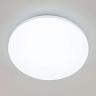 Накладной светильник Citilux Симпла CL714480G 
