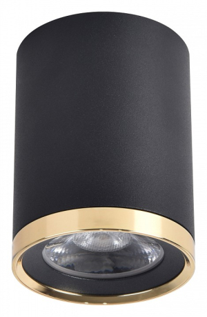 Накладной светильник Favourite Prakash 3086-1C 