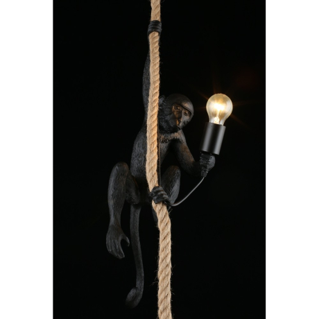 Подвесной светильник Aployt Magali APL.309.16.01 