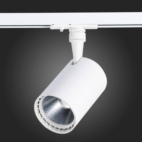 Светильник на штанге ST-Luce Cami ST351.536.15.24 