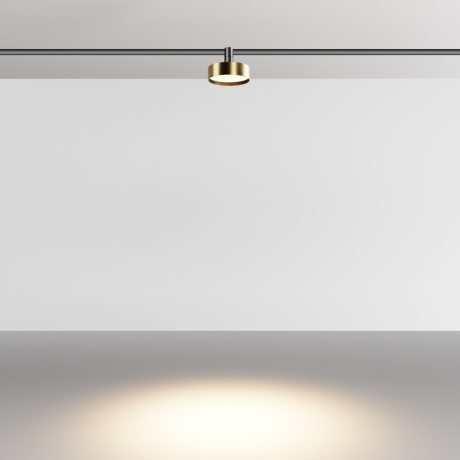 Светильник на штанге Maytoni Technical Zon TR204-1-12W3K-BBS 