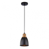 Нарушена упаковка.  <94789>  Подвесной светильник Arte Lamp Eurica A4248SP-1BK