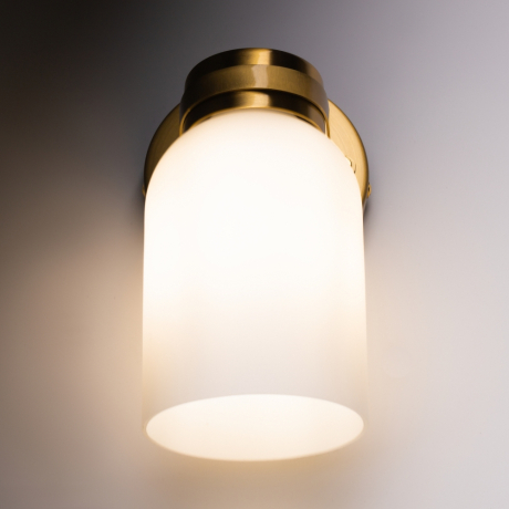 Бра Freya Kamelia FR5446WL-01BS 