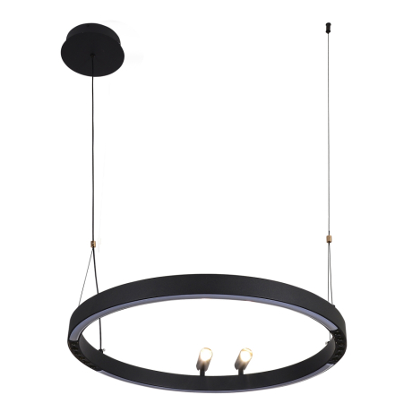 Подвесной светильник F-promo Slinga 4474-1P 