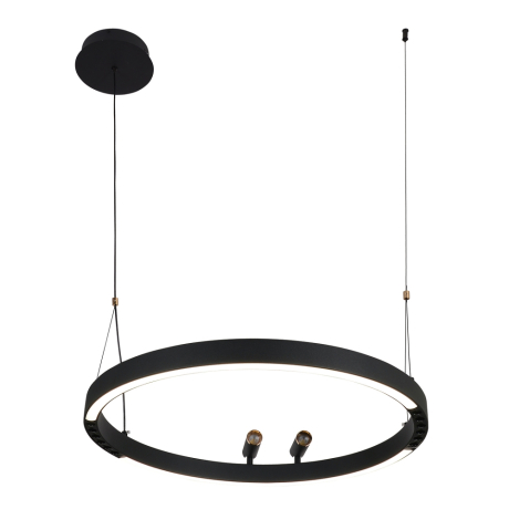 Подвесной светильник F-promo Slinga 4474-1P 