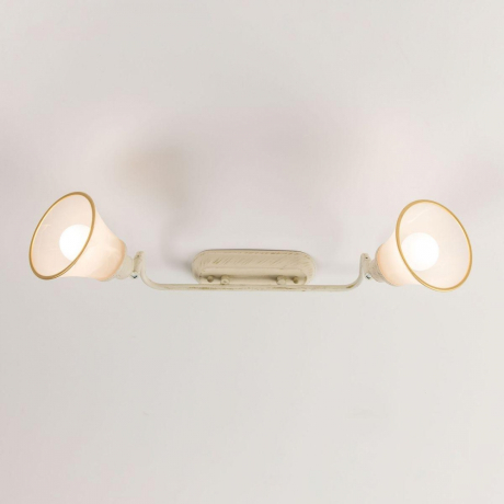 Спот Citilux Прованс CL511524 