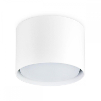 Накладной светильник Ambrella Light TN TN5301