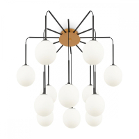 Потолочная люстра Maytoni Branch MOD176PL-12G