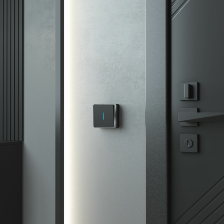 Выключатель одноклавишный с подсветкой Werkel Gallant (черный/хром) W5010135