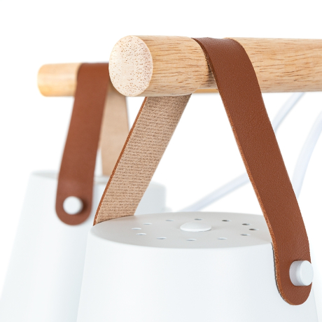 Люстра на штанге Arte Lamp Thomas A7032PL-5WH 