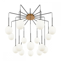 Потолочная люстра Maytoni Branch MOD176PL-16G