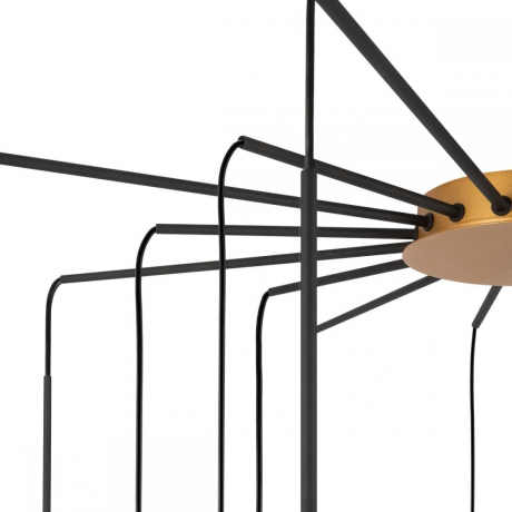 Потолочная люстра Maytoni Branch MOD176PL-16G 