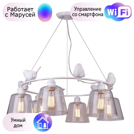 Подвесная люстра Arte Lamp Passero с поддержкой Маруся A4289LM-6WH-М 