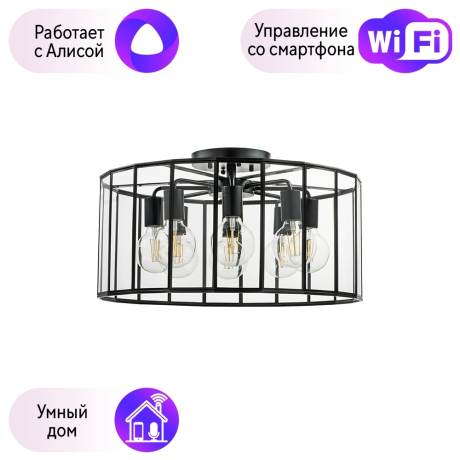 Потолочная люстра Genni Lightstar с поддержкой Алисы, 798287 