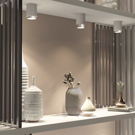 Накладной светильник Elektrostandard Cors 25032/LED белый/серебро (a062387) 