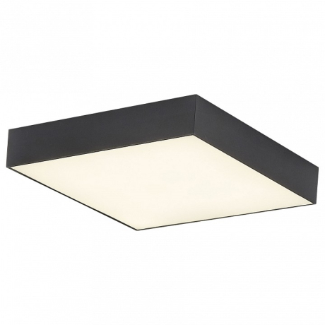 Накладной светильник Citilux Тао CL712X242N 