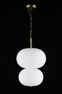 Подвесной светильник Aployt Adeli APL.646.06.20